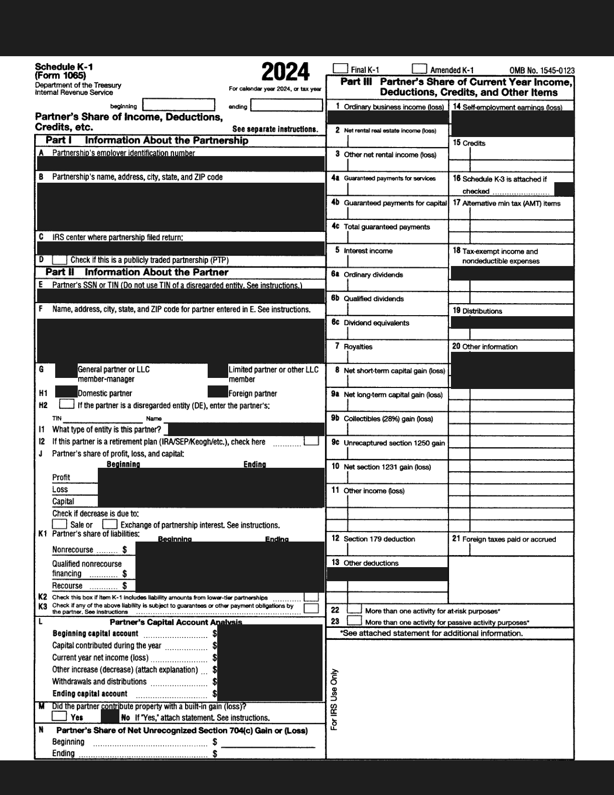 Anonymized Schedule K-1 with identifying and financial details permanently removed.